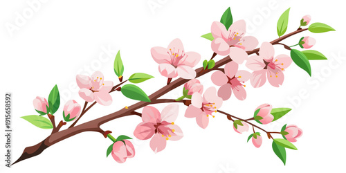 Pink cherry blossom branch illustration, vector