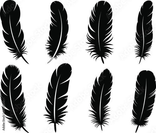 Feather silhouettes collection, decorative bird plumage icons isolated on white background for boho, nature, and design