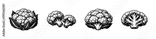 Cauliflower flat vector icons set. vegetable graphics and healthy food symbols collection