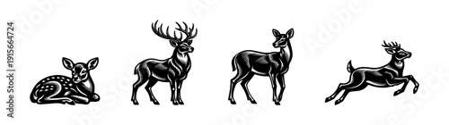 Wildlife flat vector icons set: deer illustrations, forest animal silhouettes, antler designs