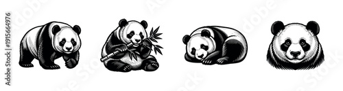 Panda flat vector icons set: cartoon bear, wildlife illustrations, adorable animal silhouettes
