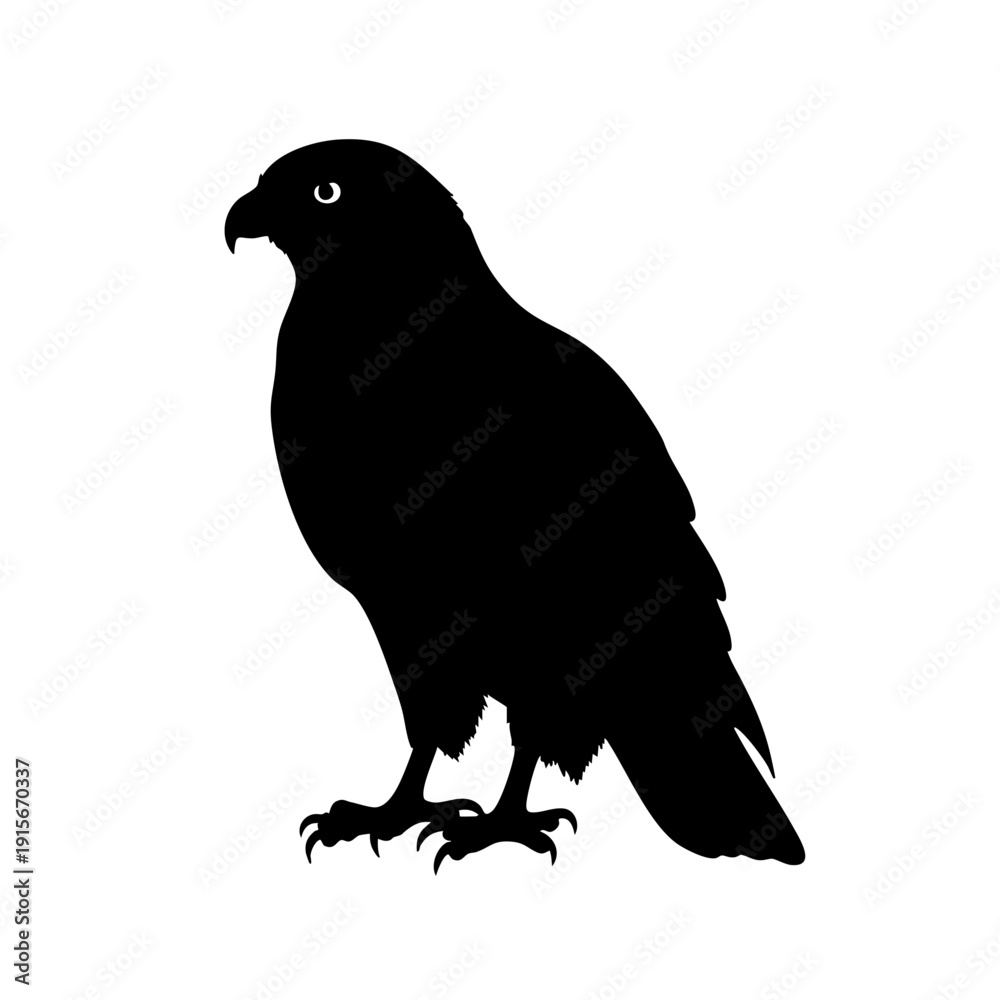 Fototapeta premium Falcon silhouette vector icon illustration on white background 