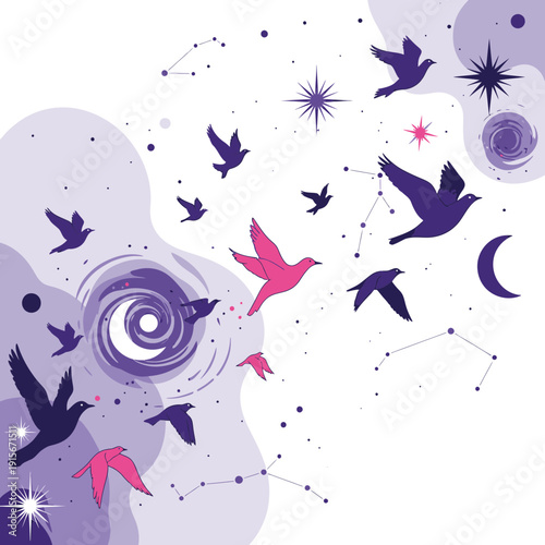 Celestial Bird Constellations With Cosmic Swirls And Stars