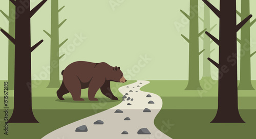 Brown Bear Wandering On A Rocky Forest Path