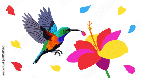 Colorful Hummingbird Reaching to the Flower, Artistic Design With Petals