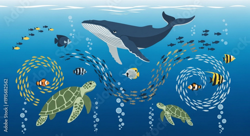 Whale sea turtles and tropical fish swim together in ocean waves underwater scene with marine life