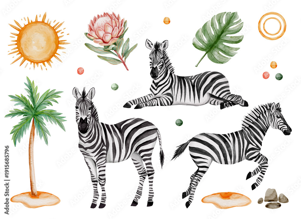Obraz premium Watercolor Zebra Safari Set with Tropical Elements. Collection featuring with tropical palm tree monstera leaf protea flower sun rocks and decorative elements ideal for jungle themed designs.