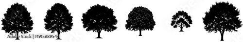 A set of trees in varying shapes and sizes, cypress tree, illustration, line, profile, row, tree, wind, against transparent background