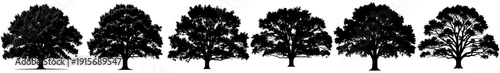 A set of different trees with varying shapes and sizes, cypress tree, illustration, line, row, tree, against transparent background