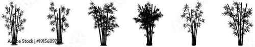 A set of tall bamboo trees in various poses, bamboo, bamboo forest, black, illustration, plant, reed, stem, tree, against transparent background