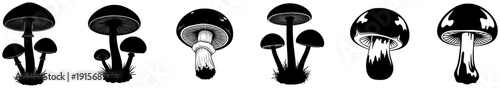 A set of mushrooms in various shapes and sizes, black, blade, brush, illustration, paddle, reed, tool, against transparent background