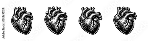 Heart anatomy flat vector icons set. medical and biological design elements