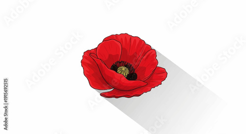 Red poppy flower with black and yellow center on white background black center yellow stamens