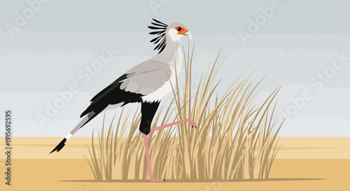 Elegant Secretary Bird Standing Tall Amidst Golden Grasslands