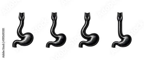 Digestive system flat vector icons set. stomach anatomy symbols collection