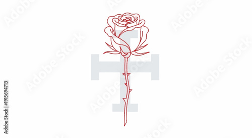 Red rose outline with thorns and leaves on white background