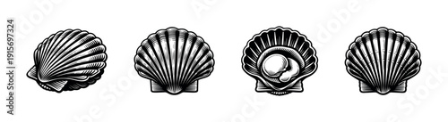 Shell vector icon set. flat nautical icons collection. sea and ocean elements