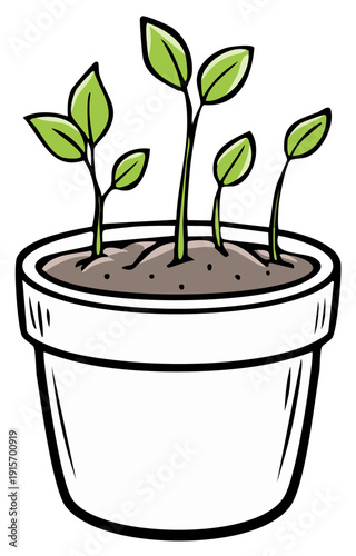 Young Seedlings in a Pot: Green Plants Emerging from Soil in a White Container