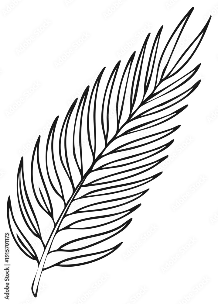Fototapeta premium Minimalist hand drawn palm leaf outline, botanical illustration