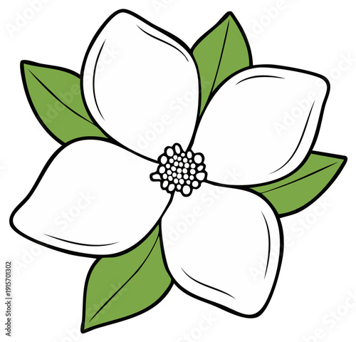 Simple illustration of a white magnolia or dogwood flower with green leaves
