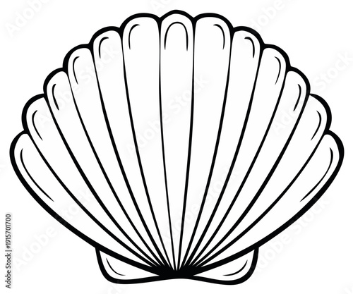 Simplified line drawing of a scallop shell with radiating lines and rounded edges.