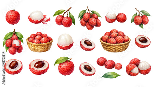 A charming watercolor collection of fresh lychee fruits, including whole lychees, peeled halves, glossy brown seeds, leafy branches, and woven basket arrangements.