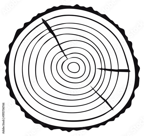 Simple black and white illustration of a tree ring cross section with rough bark detail