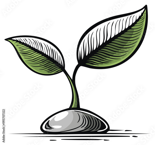 Stylized Green Seedling Sprouting from a Seed Vintage Woodcut Illustration