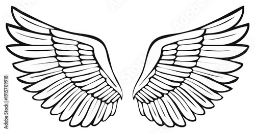 Outlined angel wings illustration for design or decoration elements