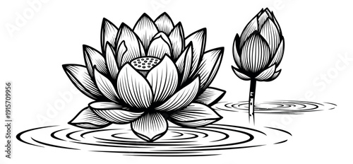 Hand drawn line art lotus flower set featuring a bloomed flower and a bud for meditation and wellness design