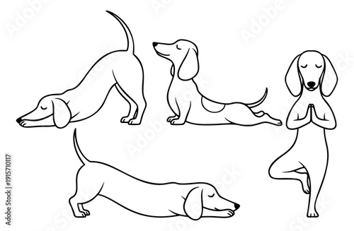Line art cartoon dachshund dogs yoga poses set featuring adorable dogs in various yoga positions for pet wellness and healthy lifestyle