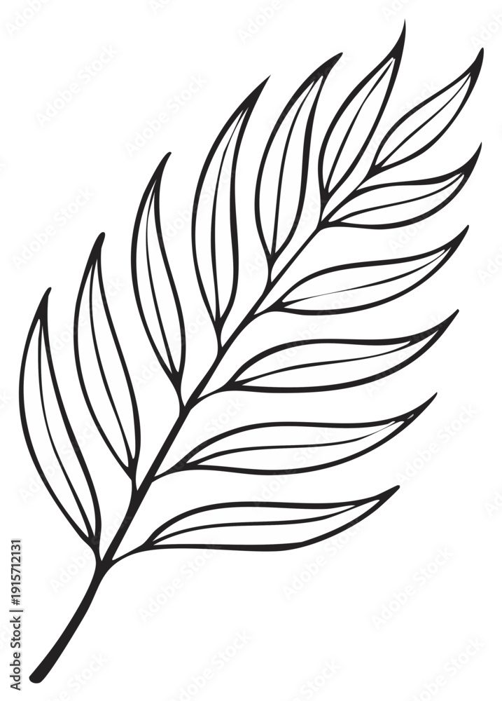 Obraz premium Minimalist hand drawn outline of a fern leaf on white background for design.