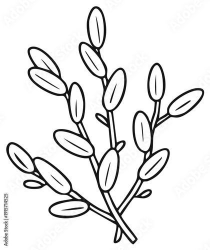 Delicate outline drawing of pussy willow branches with soft fuzzy buds in spring