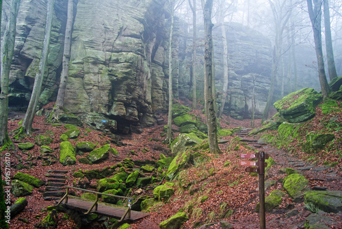 Berdorf im Müllerthal - Suedeifel im Moos - Nebel im Müllerthal