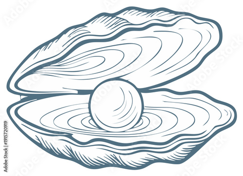 Elegant line art sketch of an open oyster shell revealing a precious pearl inside a seashell