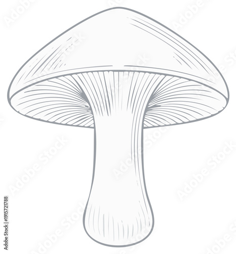 Mushroom Illustration Isolated, Edible Fungus Line Art, Minimalist Mushroom Drawing, Gray Shaded Mushroom Isolated, Forest