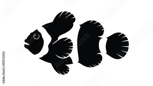 Stunning black and white clownfish illustration for marine designs