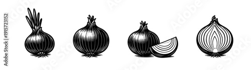 Onion illustration set. flat vector illustrations of bulb and slice graphics. vintage vegetable icons