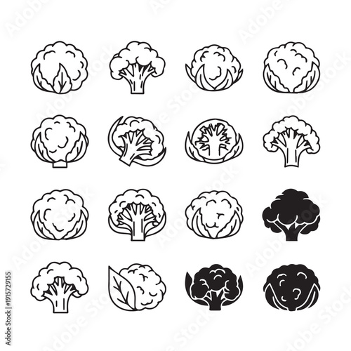 Broccoli and Cauliflower Icons Variety Line Art and Silhouette Isolated on White Background