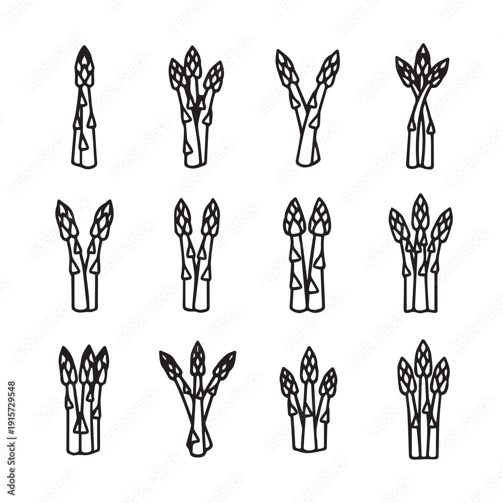 Fototapeta premium Asparagus Bundles Collection Icons Simple Line Art Illustration