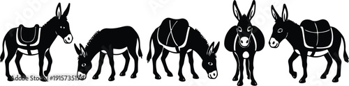 Flat silhouette vector donkeys in varied poses five standing grazing and facing forward on white background minimal side view front