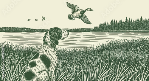 A dog stands in tall grass by a serene lake watching a flying bird from a distance in a peaceful landscape