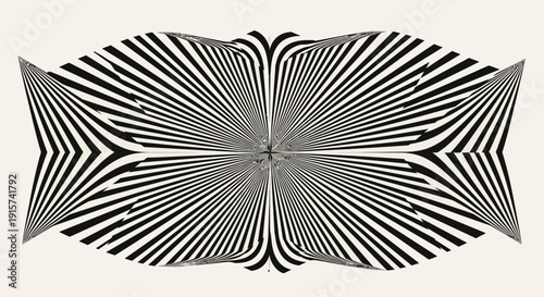 Symmetrical black and white abstract pattern illustration featuring geometric shapes and lines from a direct viewpoint
