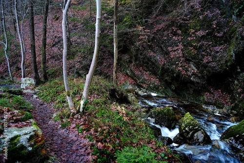 Wandern in den Ardennen - Belgien am Ninglinspo und der Ambleve - Unterwegs auf ursprünglichen Pfaden und Tälern