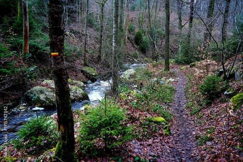 Wandern in den Ardennen - Belgien am Ninglinspo und der Ambleve - Unterwegs auf ursprünglichen Pfaden und Tälern