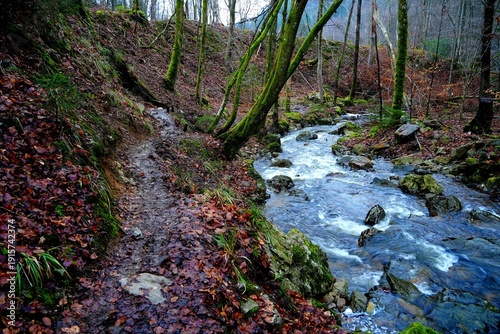 Wandern in den Ardennen - Belgien am Ninglinspo und der Ambleve - Unterwegs auf ursprünglichen Pfaden und Tälern