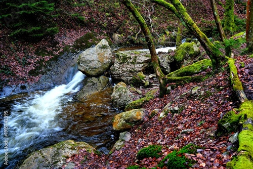 Wandern in den Ardennen - Belgien am Ninglinspo und der Ambleve - Unterwegs auf ursprünglichen Pfaden und Tälern