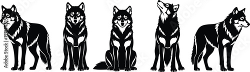 Black wolf silhouette set, standing sitting howling poses, wild animal vector illustration, isolated clipart collection, detailed fur design bundle graphic
