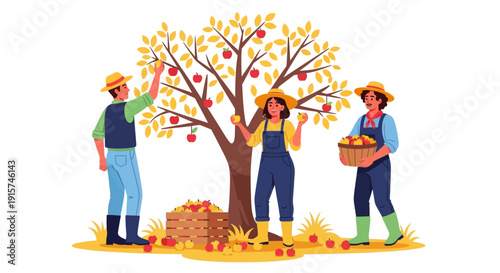 Farmers harvesting ripe apples from a vibrant tree in an orchard setting during autumn season