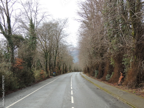 Killarney, National Park, Kerry, Ireland